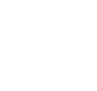 ico29